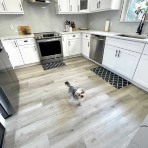 Kitchen remodel — MONIQUE 8