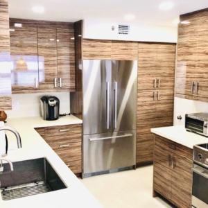 Kitchen remodel — WOOD HIGHGLOSS 3