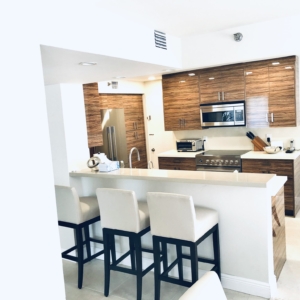 Kitchen remodel — WOOD HIGHGLOSS 5